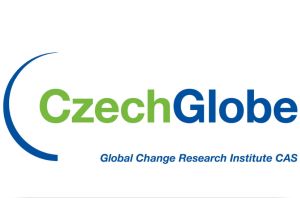 Staż w Czech Globe