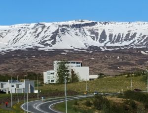 Staż w Islandzkim Instytucie Historii Naturalnej